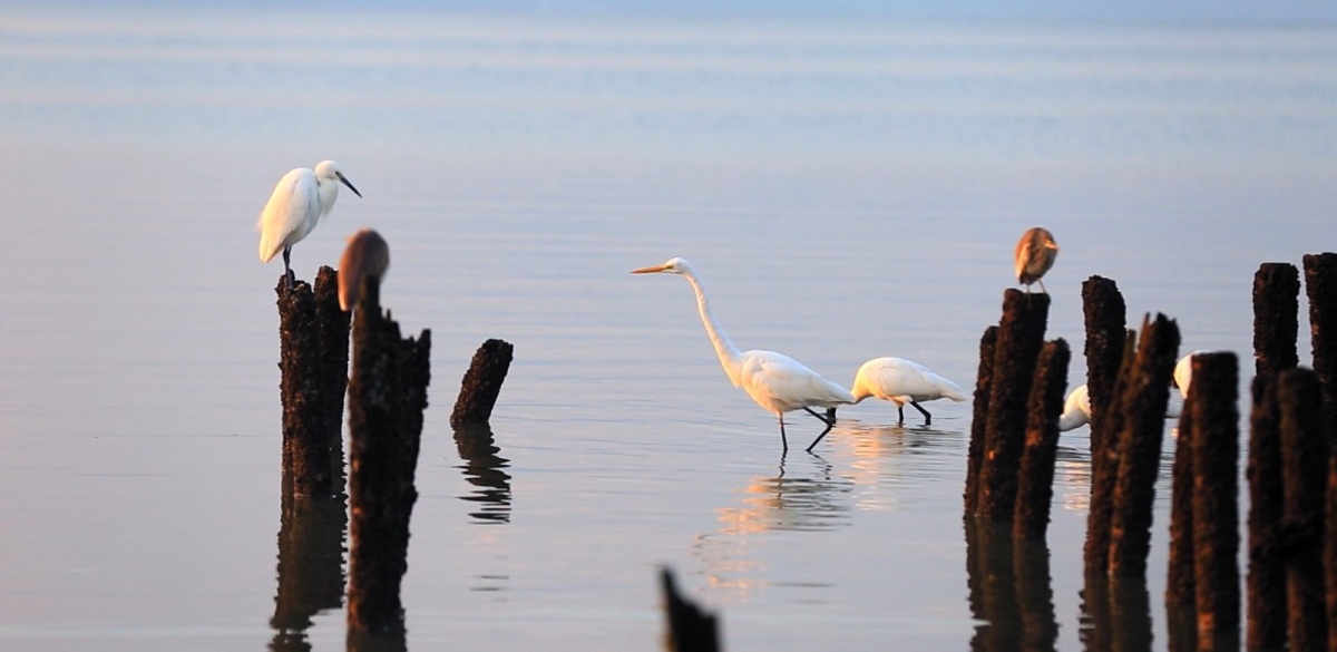 微信圖片_2019022218163613_副本.jpg 微信圖片_2019022218163613_副本.jpg