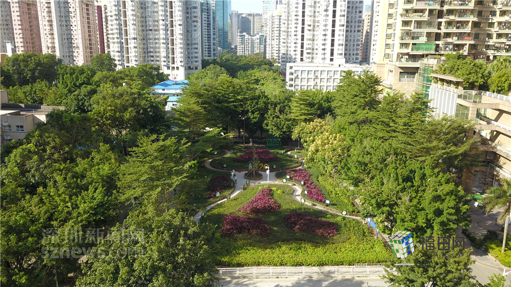  鵬城眼|我的實(shí)事我做主！5年辦理“民生微實(shí)事”6774件}