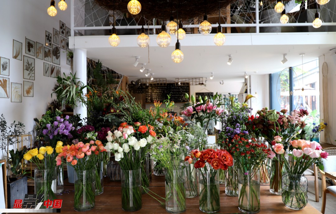 從決定從事鮮花這個(gè)行業(yè)以來(lái)，王黎媛花了很多的時(shí)間和精力去學(xué)習(xí)花藝，不斷提高自己的專業(yè)水平。而在小店的選址、裝修和布置方面，王黎媛同樣花費(fèi)了不少心思，“希望我的小店和鮮花一樣，是有溫度的、鮮活的?！绷硗?，小小的花店也藏著大大的夢(mèng)想，“我們?cè)颇硝r花很多，但真正做成品牌的卻很少，這是非?？上У?。我希望把我的店做成品牌，不光能扎根昆明，還能落地到云南的其他城市，甚至省外的城市?！眻D為王黎媛的花店一角。新華網(wǎng) 周亞平/攝 念新洪/文